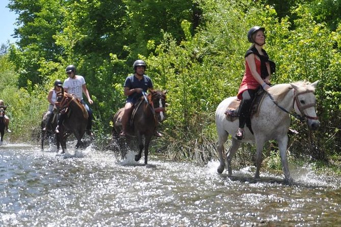 Kusadasi Horseback Riding - A quiet ride through trees and brush