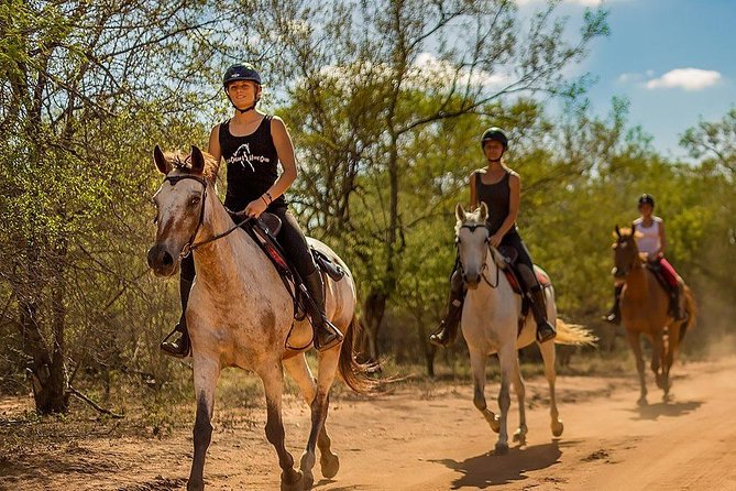 Kusadasi Horseback Riding - Galloping is for experienced riders
