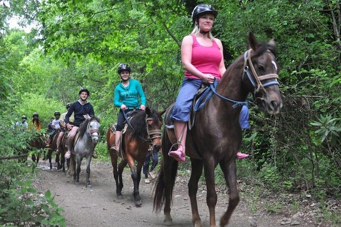 Kusadasi Horseback Riding - What the horse care reports mean for you
