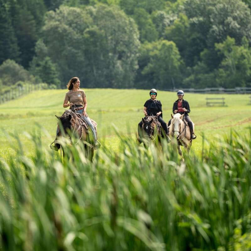 La Bleuetière: A charming introduction to horseback riding - Following quiet tracks through the Charlevoix countryside