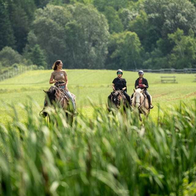 La Bleuetière: A charming introduction to horseback riding - Finding the ranch and preparing for arrival