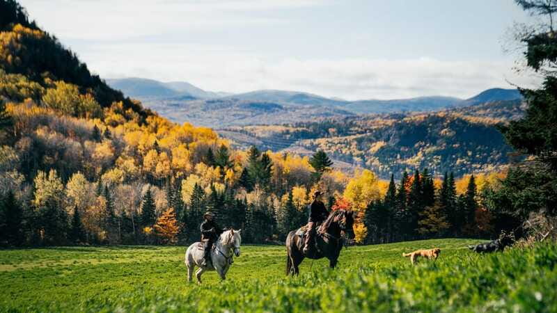 La Bleuetière: A charming introduction to horseback riding - Who should book La Bleuetière