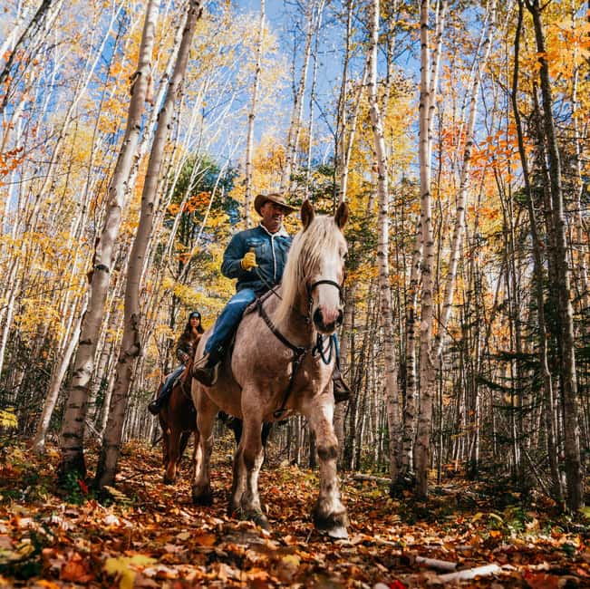 La Bleuetière: A charming introduction to horseback riding - Getting ready for a one-hour trail ride