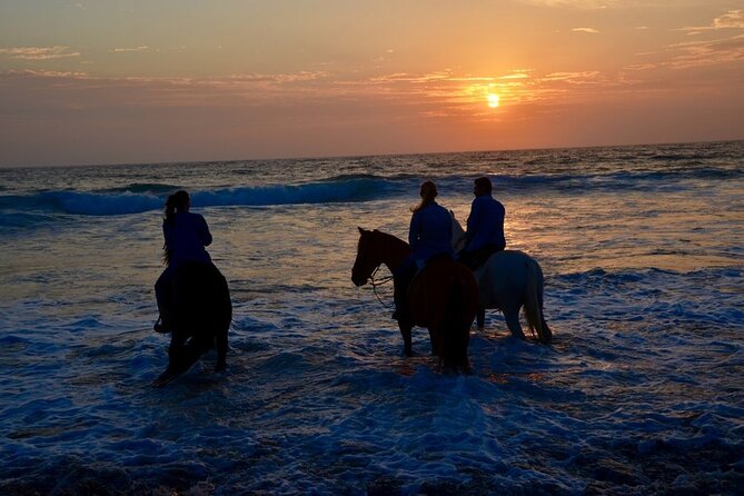 La Bufadora, Markets & Horseback Beach Ride Shore Excursion - Timing, safety, and who should book