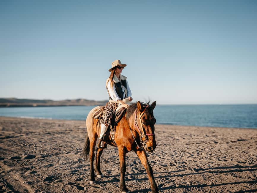 La Paz: Scenic Beach Horseback Ride - Water, views, and the pace of the ride