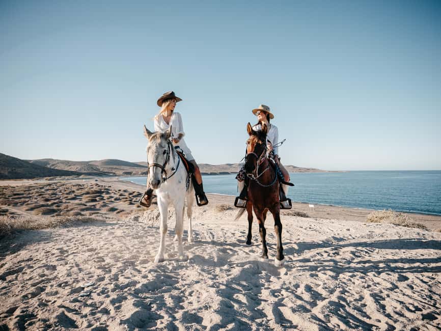 La Paz: Scenic Beach Horseback Ride - Leaving the desert trail for the Pacific coast