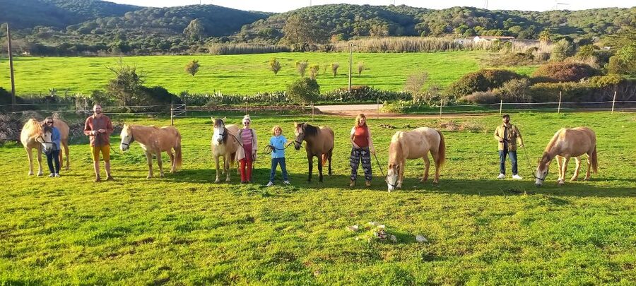 Lagos: A walk with a rescued horse at the sanctuary - Safety First, Then Time to Connect