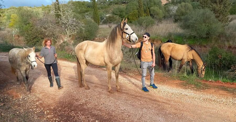 Lagos: A walk with a rescued horse at the sanctuary - Walking With One Horse Across the Property