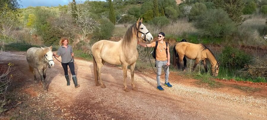Lagos: A walk with a rescued horse at the sanctuary - Why the Horse Walk Feels Different