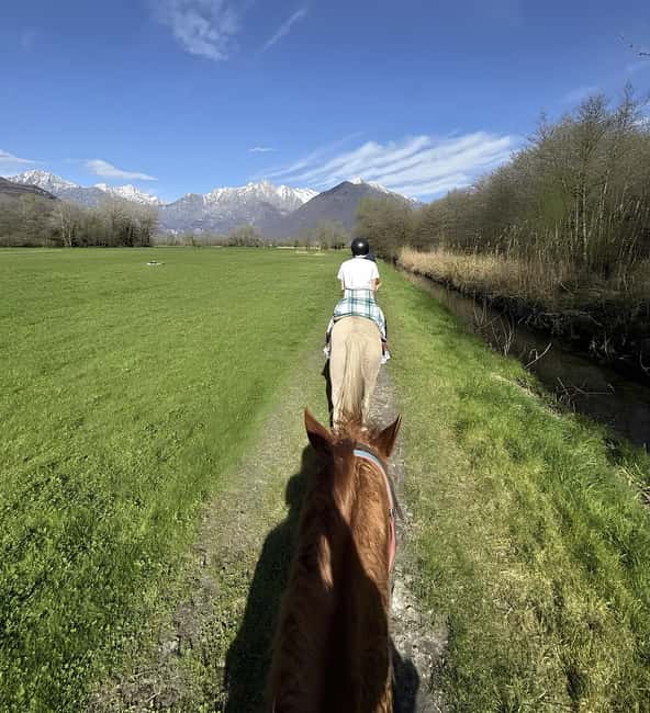 Lake Como: Horseback Riding Tour from Colico - Five Minutes in the Arena Before the Trail