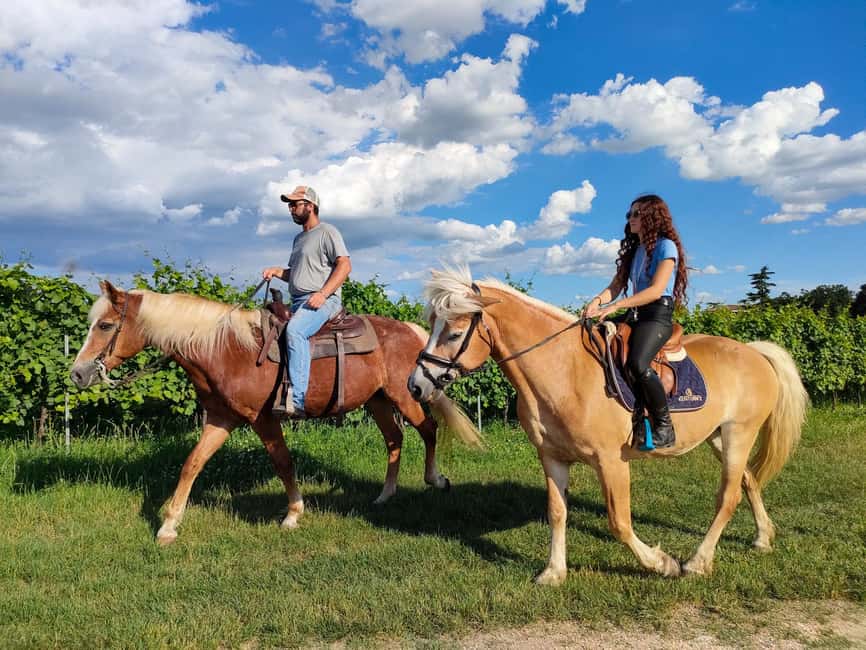 Lake Garda: 2 hours Horseback Ride in the Countryside - Starting through Castelnuovo del Garda