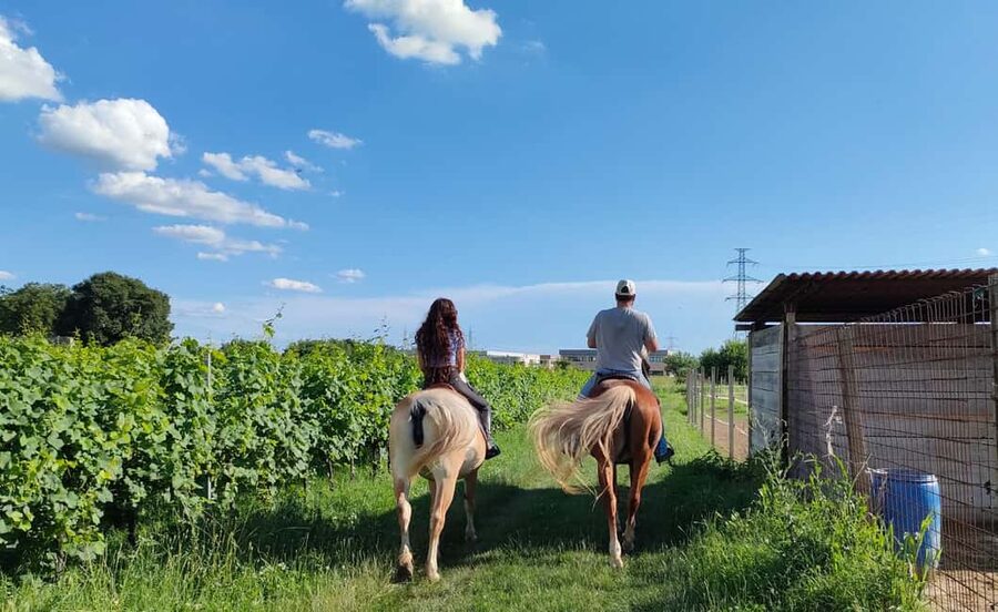Lake Garda: 2 hours Horseback Ride in the Countryside - Lake views without the lakefront crowds