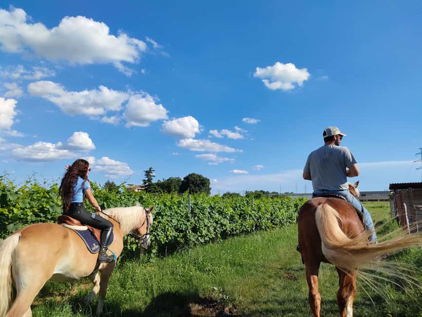 Lake Garda: 2 hours Horseback Ride in the Countryside - Who should book this ride?