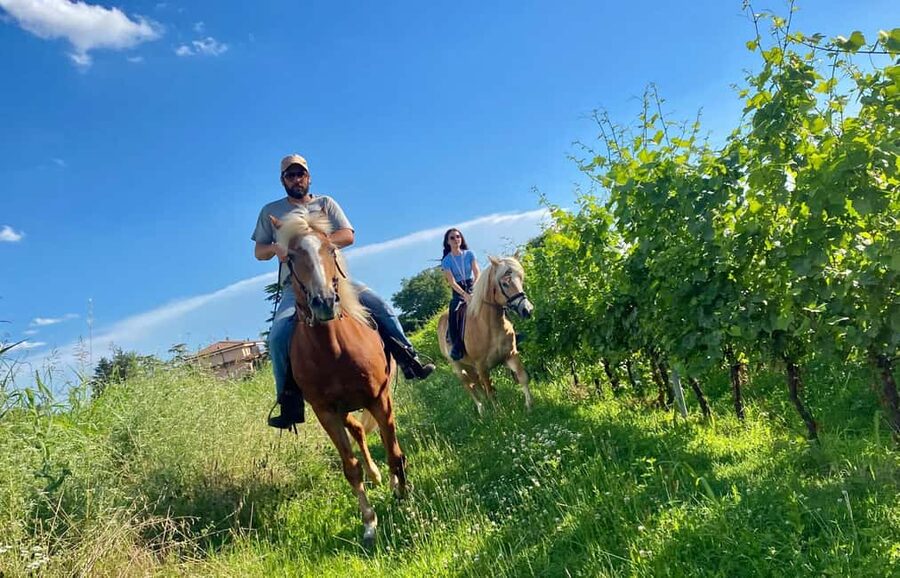 Lake Garda: 2 hours Horseback Ride in the Countryside - Through Lazise and Colà di Lazise