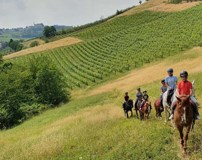 Langhe: Horse Riding in the Vineyards - Key points to know before you ride