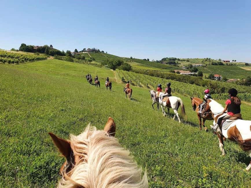 Langhe: Horse Riding in the Vineyards - The vineyard views and Alpine backdrop