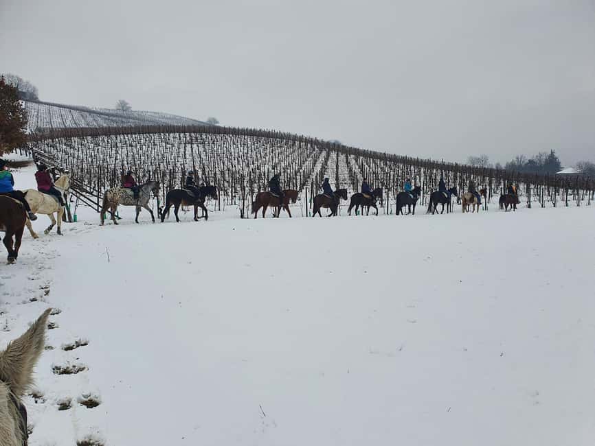 Langhe: Horse Riding in the Vineyards - Is the one-hour or two-hour ride better?