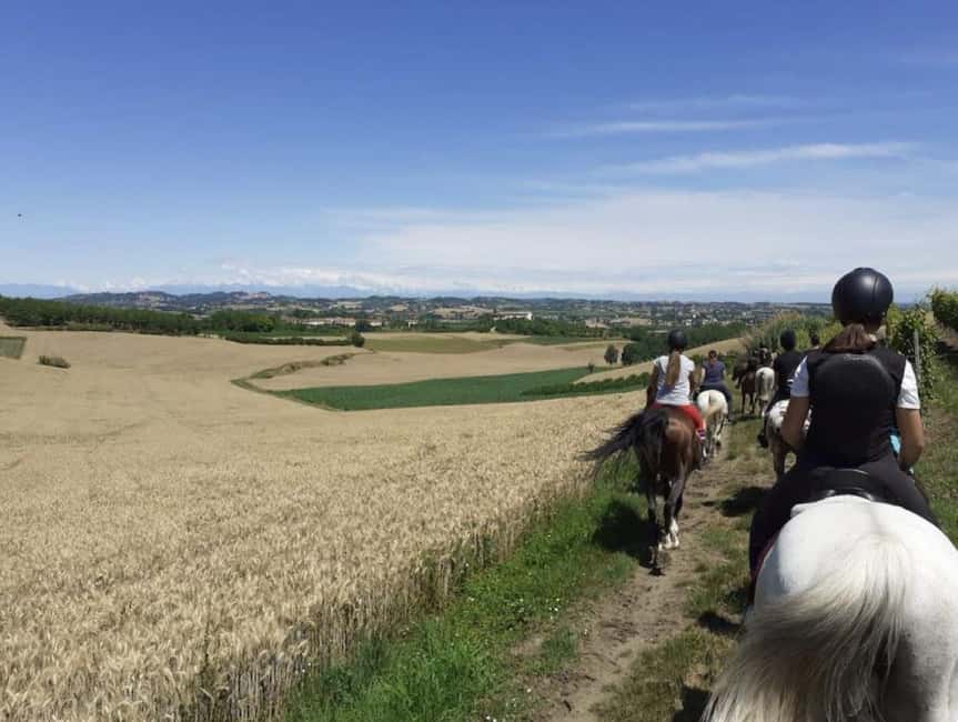 Langhe: Horse Riding in the Vineyards - Unpaved roads through the Monferrato hills
