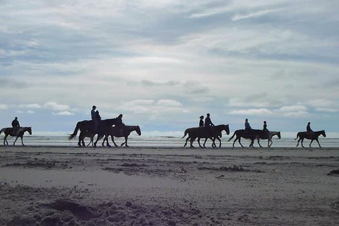 Las cañadas ecopark and horseback riding private tour - The drive from Museo Caracol through Ensenada