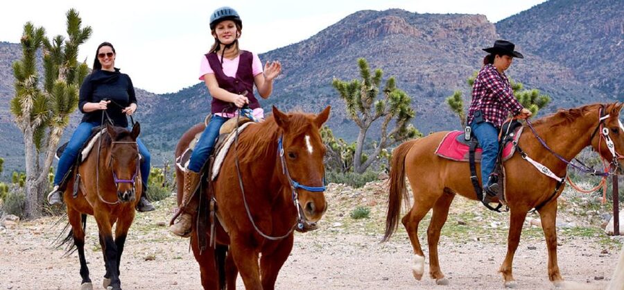 Las Vegas: Grand Canyon Ranch Tour with Horseback/Wagon Ride - Is $225 a fair price?