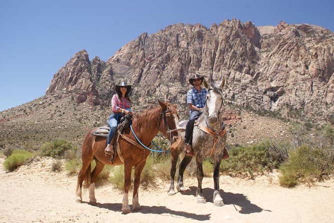 Las Vegas Horseback Ride with Meal - Quick points to know before booking