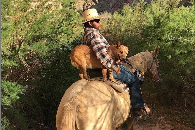 Las Vegas Horseback Ride with Meal - Leaving Las Vegas for Lewis Ranch Road