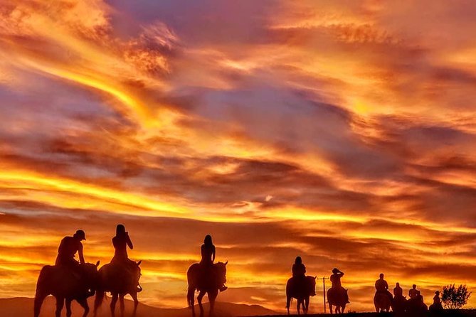 Las Vegas Horseback Ride with Meal - Is $129.99 a fair price?