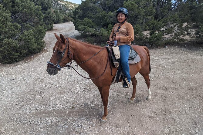 Las Vegas Horseback Riding Adventure - The ride itself, usually around 45 minutes