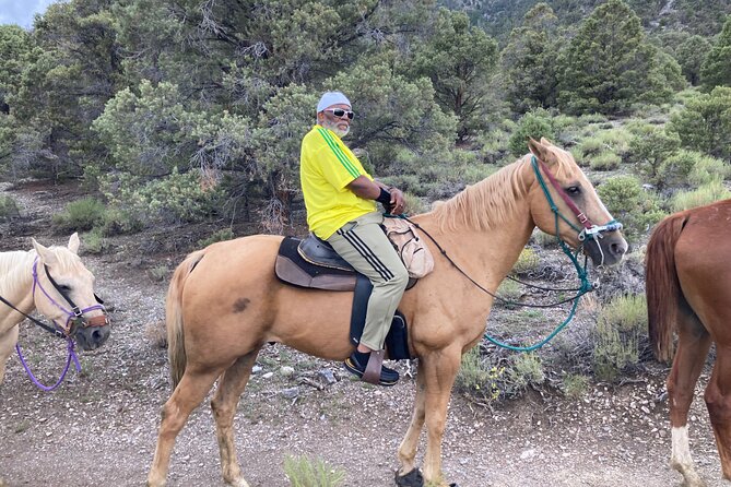 Las Vegas Horseback Riding Adventure - Practical details that can make or break the day