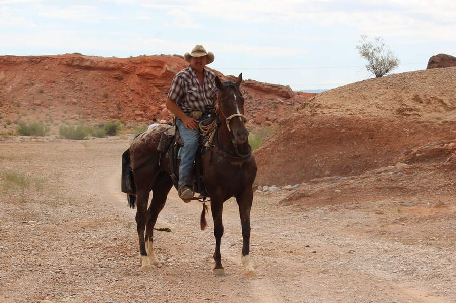Las Vegas: Horseback Riding Tour with Lunch - Who will enjoy this ride most?