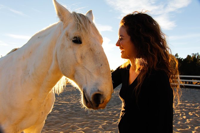 Leadership & Mindfulness Retreat with Horses - Individual & Group - Meeting horses at Wildsong Ranch