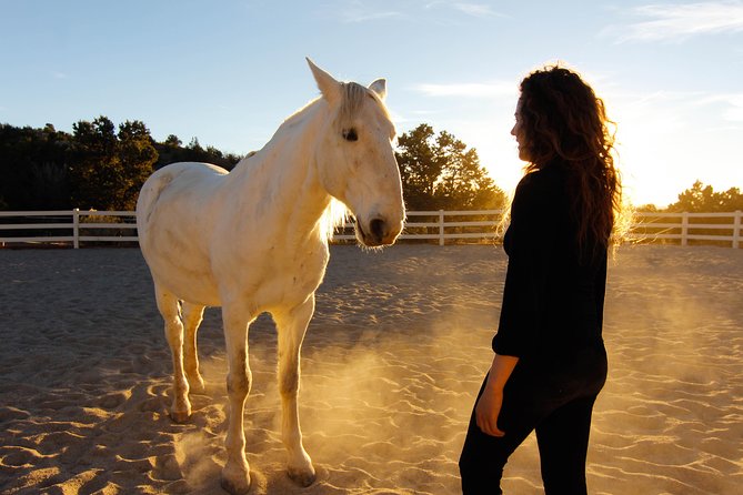 Leadership & Mindfulness Retreat with Horses - Individual & Group - What happens during the 90-minute session
