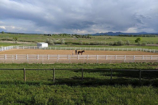 Leadership & Mindfulness Retreat with Horses - Individual & Group - Corporate leadership work at the ranch