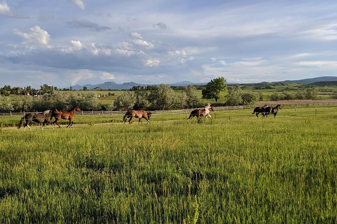 Leadership & Mindfulness Retreat with Horses - Individual & Group - The ranch setting and practical details