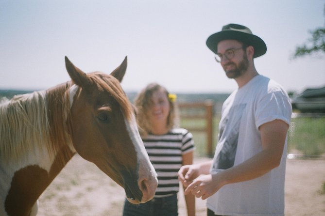 Leadership & Mindfulness Retreat with Horses - Individual & Group - Who will get the most from this experience