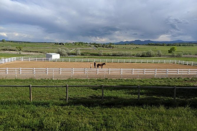 Leadership & Mindfulness Retreat with Horses - Individual & Group - Is the 90-minute session worth booking?