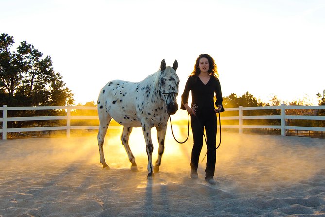 Leadership & Mindfulness Retreat with Horses - Individual & Group - Why the horses make the coaching different