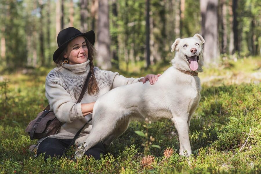 Levi: Horse and Husky Farm Visit with Juice and Cookies - At a glance