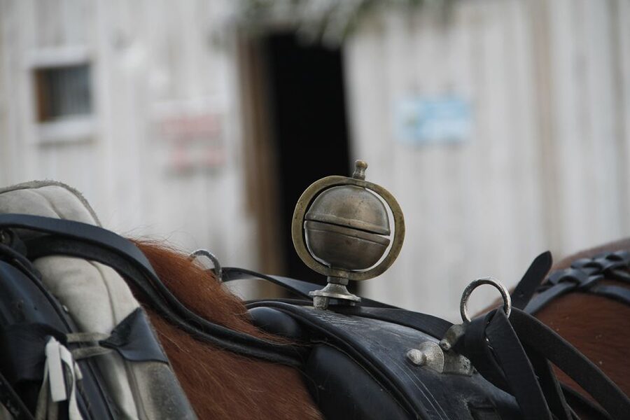 Levi, Polar Lights Tours: One Horse Open Sleigh Ride - What the one-hour sleigh ride is really like
