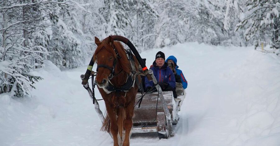 Levi, Polar Lights Tours: One Horse Open Sleigh Ride - A five-minute safety briefing in Levi, Sirkka