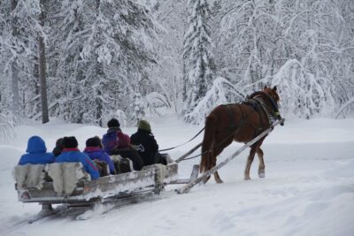 Levi, Polar Lights Tours: One Horse Open Sleigh Ride