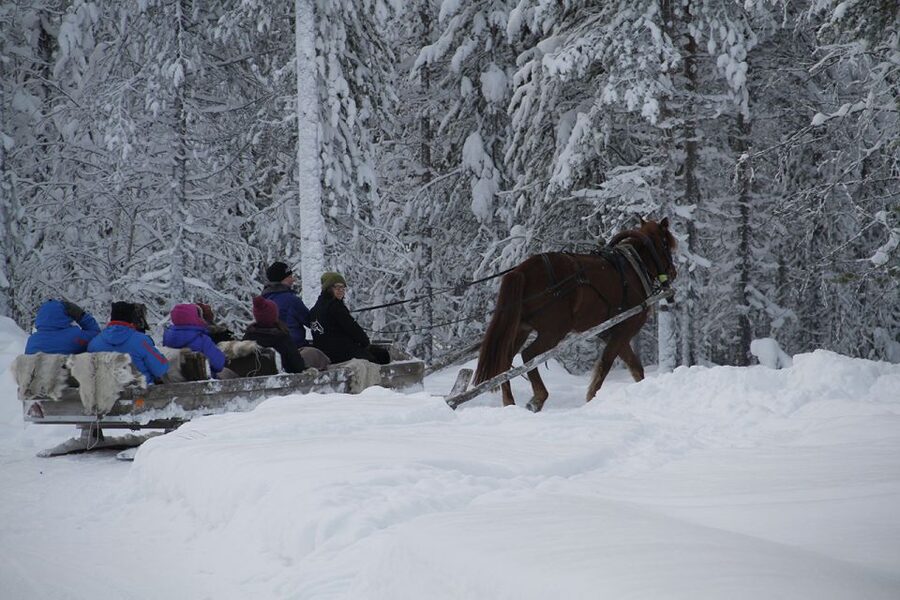 Levi, Polar Lights Tours: One Horse Open Sleigh Ride - Returning to Levi after the snack stop