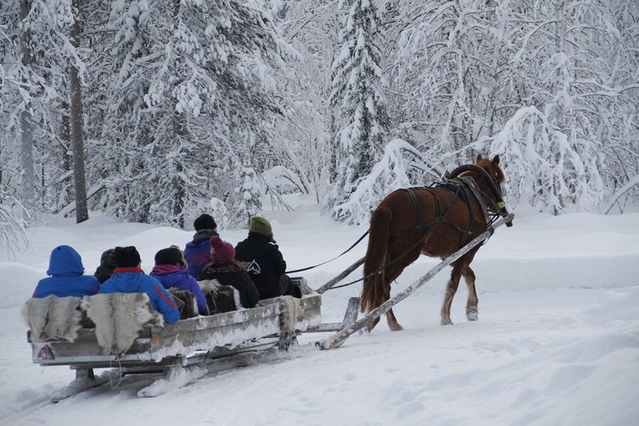Levi, Polar Lights Tours: One Horse Open Sleigh Ride - Leaving Hissitie 11 in central Levi