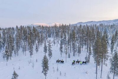 Riding Trek with Icelandic Horses