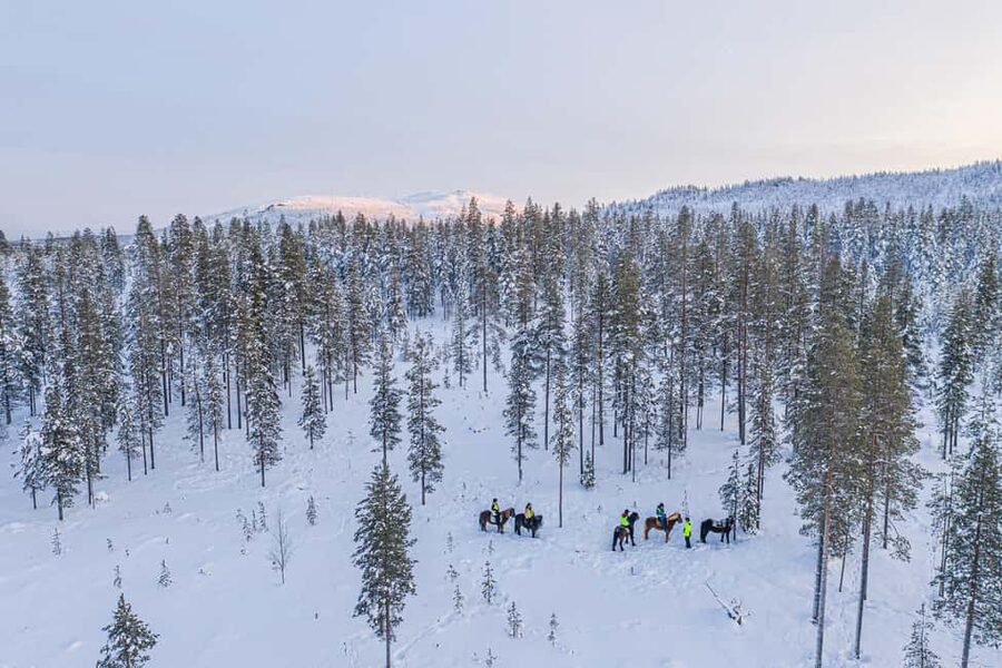 Levi: Riding Trek with Icelandic Horses - The 10-minute safety briefing