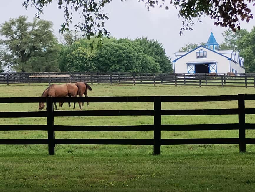 Lexington: Thoroughbred Horse Farm Tour and Scenic Bluegrass - Key points to know before booking