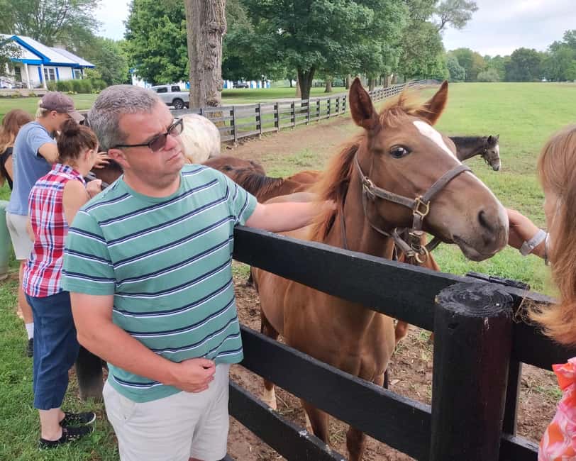 Lexington: Thoroughbred Horse Farm Tour and Scenic Bluegrass - Why Lexington horse country is worth your morning