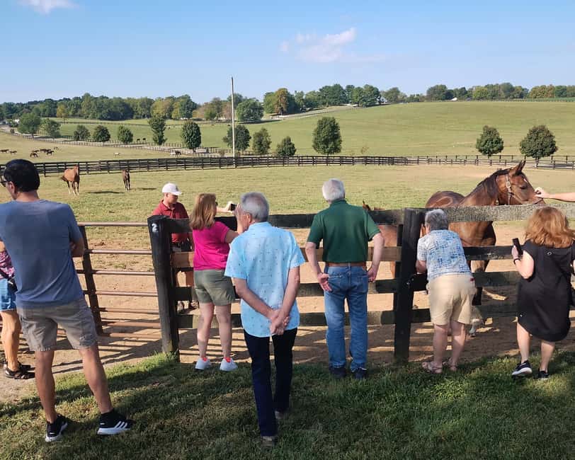 Lexington: Thoroughbred Horse Farm Tour and Scenic Bluegrass - Riding through the bluegrass countryside