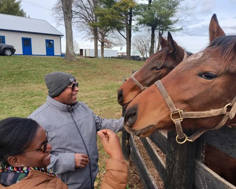 Lexington: Thoroughbred Horse Farm Tour and Scenic Bluegrass - Keeneland, racing history, and movie locations