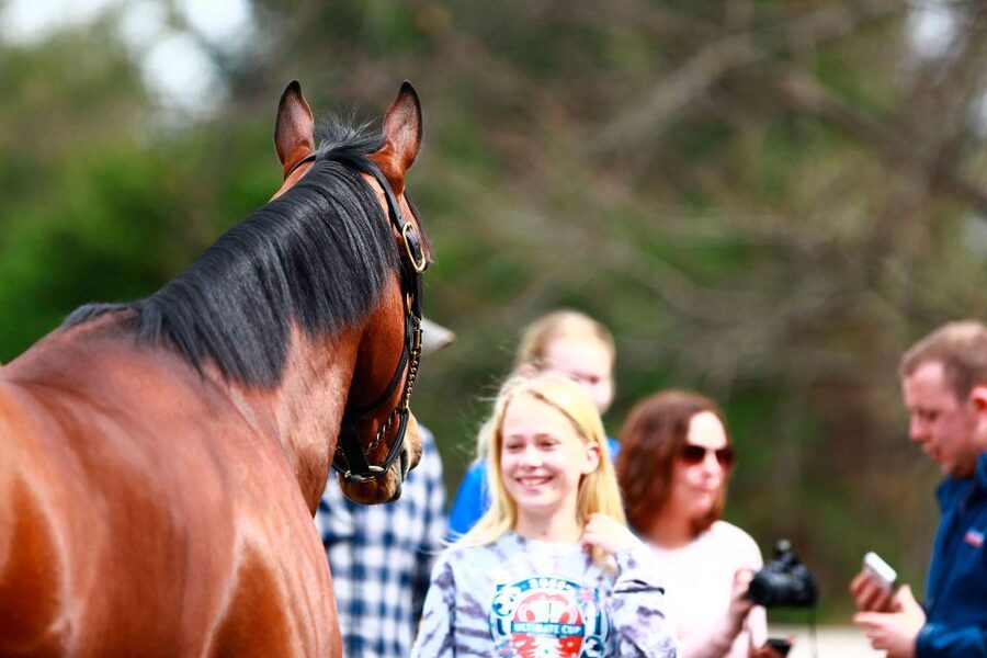 Lexington: Thoroughbred Horse Farm Tour and Scenic Bluegrass - Who will enjoy this tour most